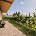 Sunny At Vineyard Vakantiehuis *
