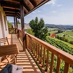Sunny At Vineyard *