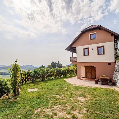 Sunny At Vineyard Veliki Kamen