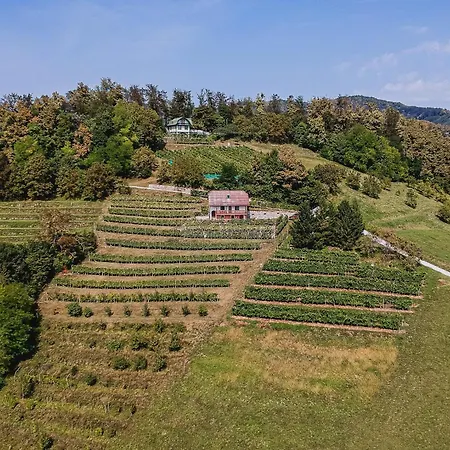 Sunny At Vineyard בית נופש