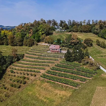 Sunny At Vineyard בית נופש
