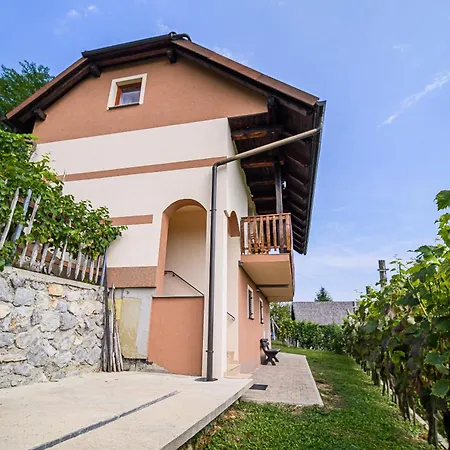 Dom wakacyjny Sunny At Vineyard *