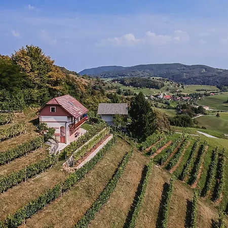 Dom wakacyjny Sunny At Vineyard