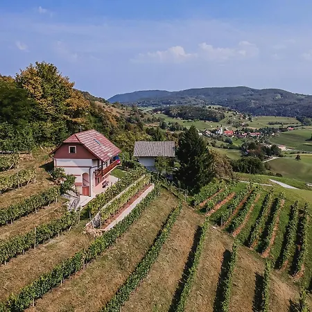 Prázdninový dům Sunny At Vineyard