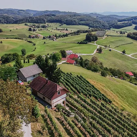 Sunny At Vineyard * Veliki Kamen