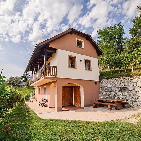 Sunny At Vineyard Veliki Kamen