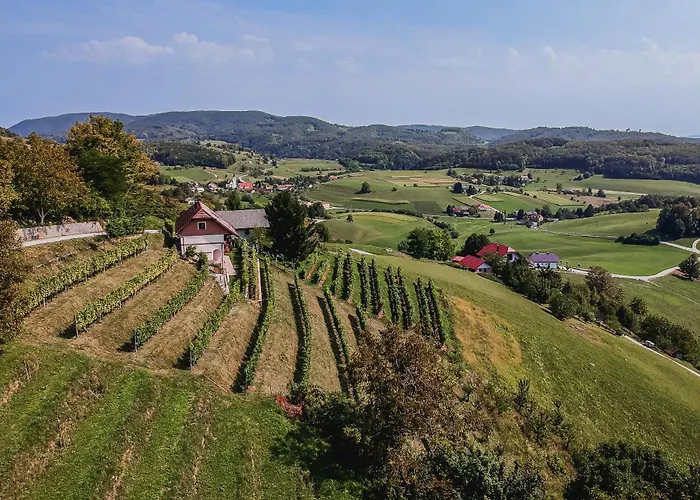Prázdninový dům Sunny At Vineyard *