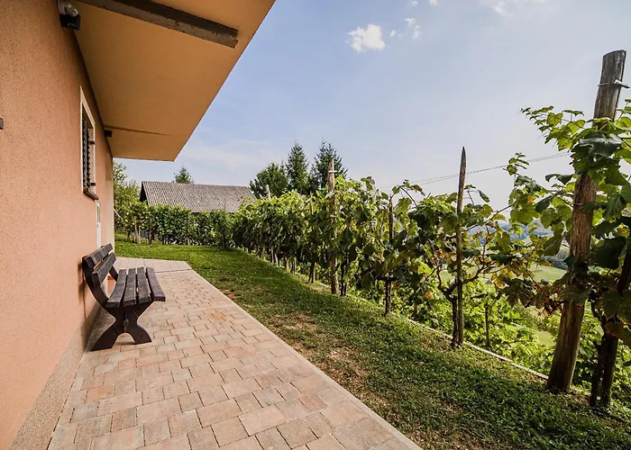 Sunny At Vineyard Prázdninový dům *