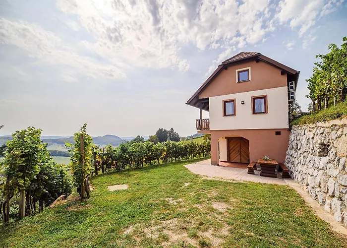 Sunny At Vineyard Veliki Kamen