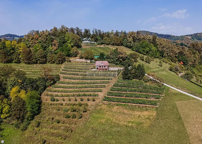 Sunny At Vineyard Prázdninový dům