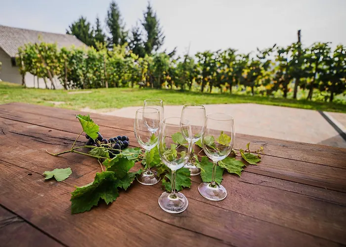 Sunny At Vineyard * Veliki Kamen