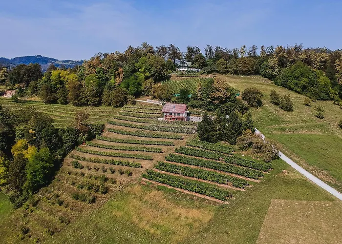 Sunny At Vineyard Dom wakacyjny