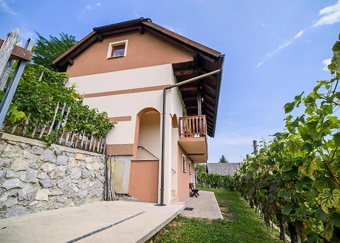 Dom wakacyjny Sunny At Vineyard *