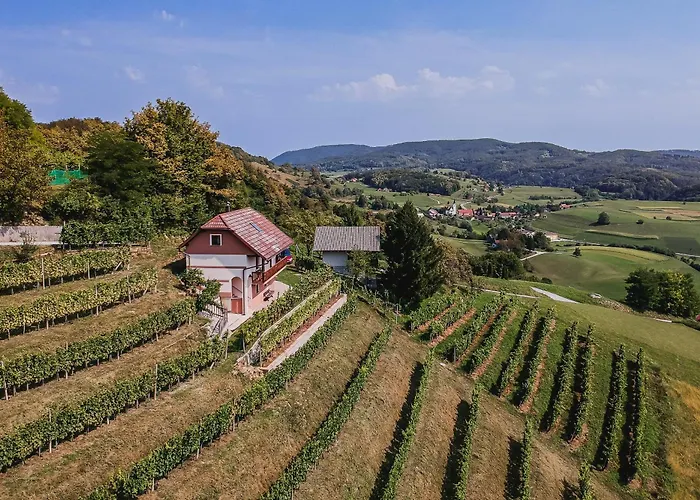 Prázdninový dům Sunny At Vineyard