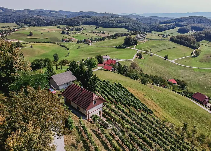 Sunny At Vineyard * Veliki Kamen