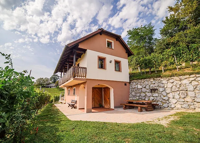 Sunny At Vineyard Veliki Kamen